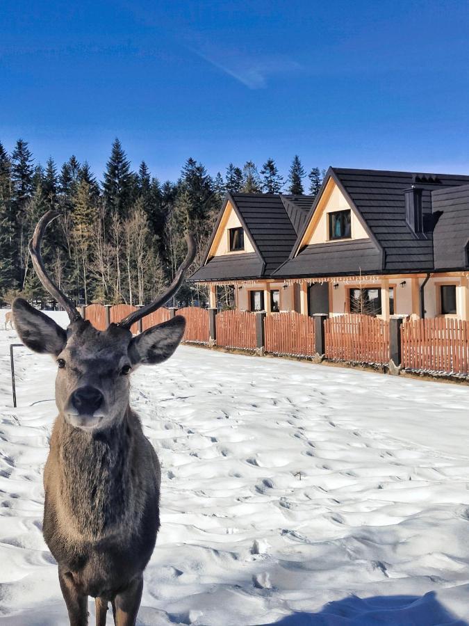 M Domki Zakopane Eksteriør billede